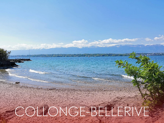 prix-immobilier-collonge-bellerive