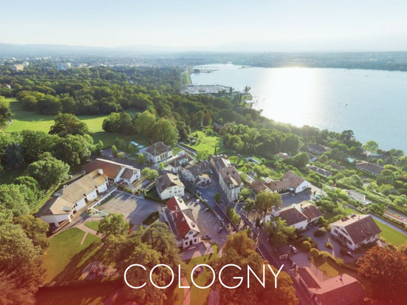 prix-immobilier-cologny-1